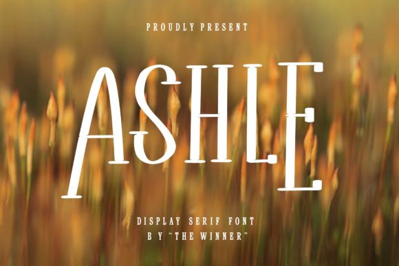 Ashle Font: A Designer’s Go-To Typeface for Polished Web Projects
