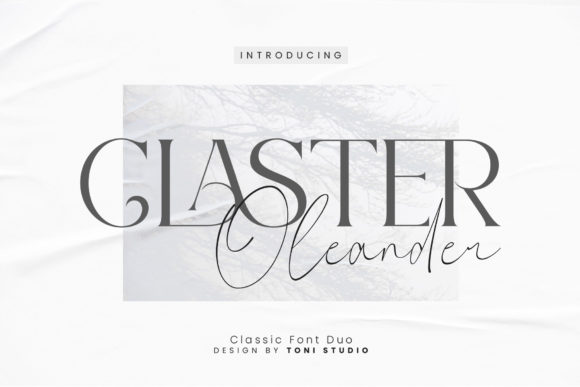 Claster Oleander Font: A Designer's Pick for Polished Web Typography