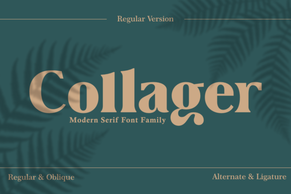 Collager Font Review: A Bold Serif for Creative Branding Projects