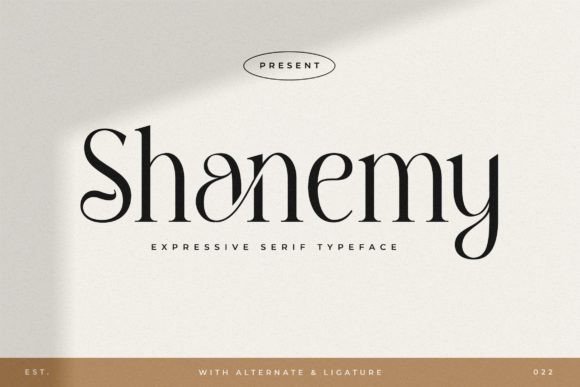 Shanemy Font: A Professional Touch for Your Brand